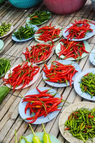 payoon-gerinto-jF9AJ6eQJlk-unsplash