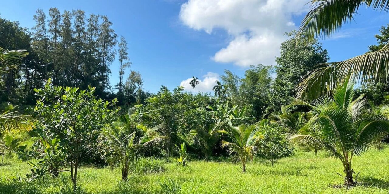 476442507_1169080315225106_2873948003106620301_n https://bilyslon.com/wp-content/uploads/2025/03/476442507_1169080315225106_2873948003106620301_n-1280x640.jpg