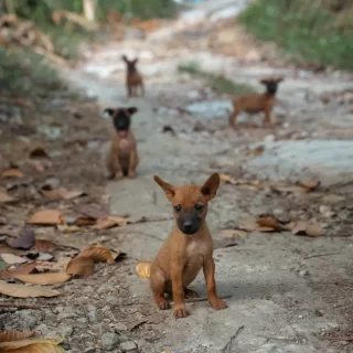 rV2iA6w2aBwM214f2Odd