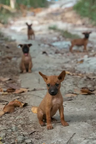 rV2iA6w2aBwM214f2Odd