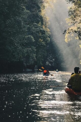 gigi-e8x9O3dehuk-unsplash