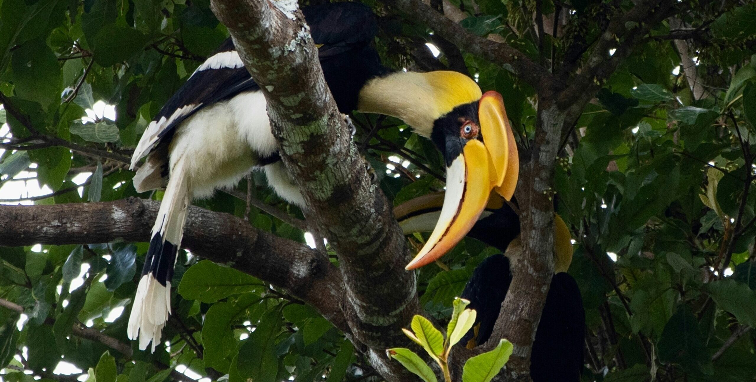 hongbin-Q9pRPbCt658-unsplash