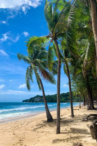 joel-kauftheil-NPvucRBUDL4-unsplash