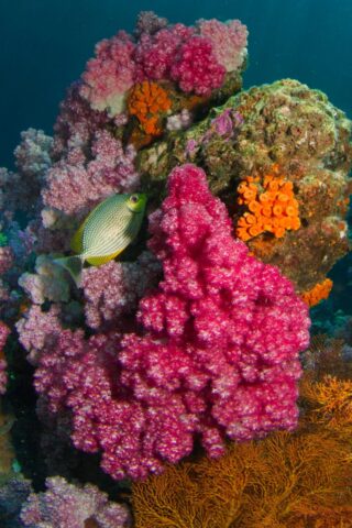 milos-prelevic-2xuiab6o-qc-unsplash