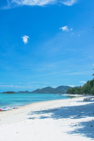 steven-watson-5pwcE1WjlpI-unsplash