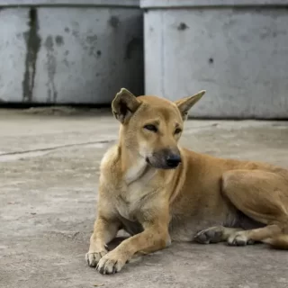 24276978571_51a7f5128c_k