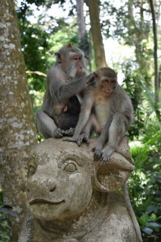 csaba-lamfalusi-hGBWXt8euwA-unsplash