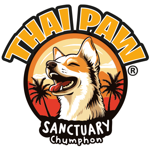 logo https://bilyslon.com/wp-content/uploads/2025/05/logo.png