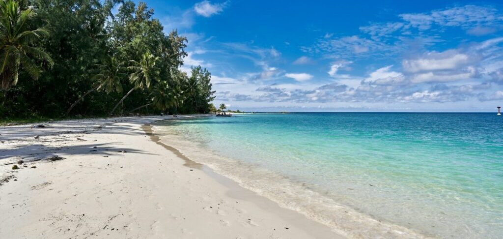 norbert-braun-I_n1RMK0eYI-unsplash https://bilyslon.com/wp-content/uploads/2025/05/norbert-braun-I_n1RMK0eYI-unsplash-1-scaled-e1746307080254.jpg