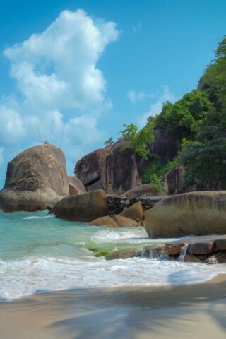 pauline-bernfeld-C3vdjvbIVHc-unsplash