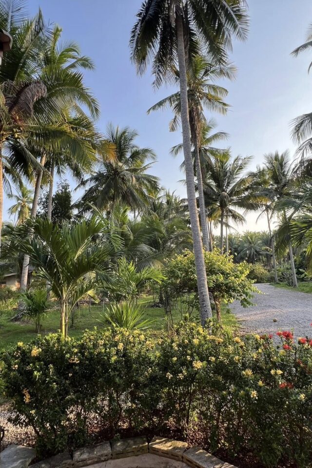 519389142_24429688450020192_4516752648483406019_n https://bilyslon.com/wp-content/uploads/2025/07/519389142_24429688450020192_4516752648483406019_n-640x960.jpg